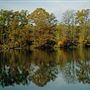 CLARKS MILLS, MERCER COUNTY