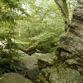 WORLDS END STATE PARK