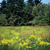 RACCOON CREEK STATE PARK