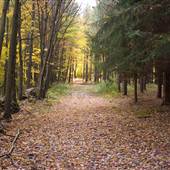 VARDEN CONSERVATION AREA