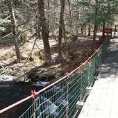 Holly Ross Suspension Bridge