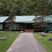 Pine Forest Camp