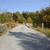 Alpine Ski Bridge