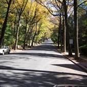 PALMERTON FALL FOLIAGE