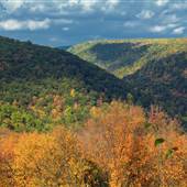 MOSHANNON STATE FOREST
