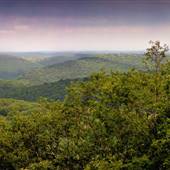 SUSQUEHANNOCK STATE FOREST
