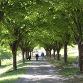 VICTORY PARK, LEWISTOWN