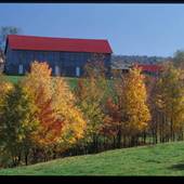 FAYETTE COUNTY SCENERY