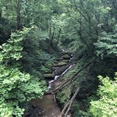 MILL CREEK FALLS RETREAT TERRAIN