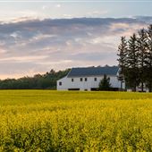 WERNER ACRES LANDSCAPE VIEWS