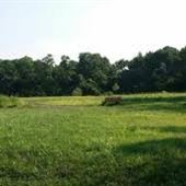 BENJAMIN RUSH STATE PARK
