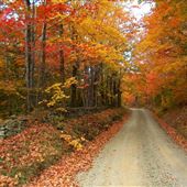 Chester County in Fall