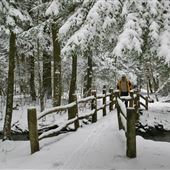 Kooser State Park, Somerset County