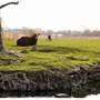 LANCASTER FARM SCENERY