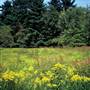 RACCOON CREEK STATE PARK