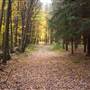 VARDEN CONSERVATION AREA
