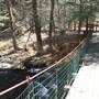 Holly Ross Suspension Bridge