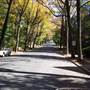 PALMERTON FALL FOLIAGE
