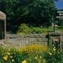 SLIPPERY ROCK UNIVERSITY
