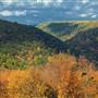 MOSHANNON STATE FOREST