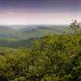 SUSQUEHANNOCK STATE FOREST
