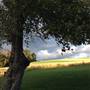 TEMPLE FARM, LYCOMING COUNTY