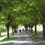 VICTORY PARK, LEWISTOWN