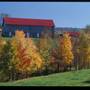 FAYETTE COUNTY SCENERY
