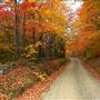 Chester County in Fall