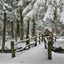 Kooser State Park, Somerset County