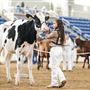 Pennsylvania Farm Show Complex & Expo Center