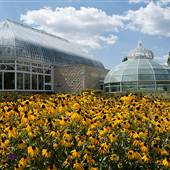 PHIPPS CONSERVATORY