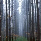 KINGS GAP STATE PARK