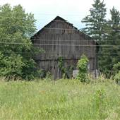Weathered Barn