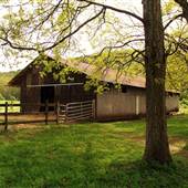 Hickory Lane
