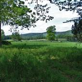 Hemlock Hill