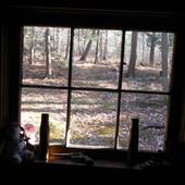 CABIN IN LANDISBURG-INTERIORS, ETC.