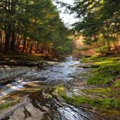PINE CREEK, COLTON POINT STATE PARK