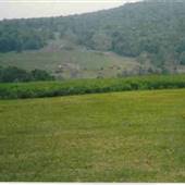 NICHOLSON FARM