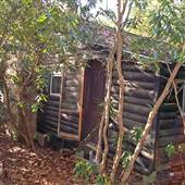 COOK FOREST STATE PARK LOG CABIN II