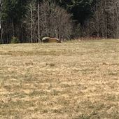 FLIGHT 93 NATIONAL MEMORIAL, IMPACT SITE