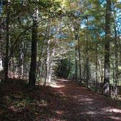 BUTTERMILK FALLS NATURAL AREA