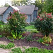 COUNTRYSIDE HOME, HELLAM
