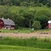 MARTINS CREEK