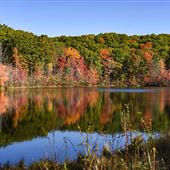 Aylesworth Park