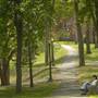BUCKNELL UNIVERSITY