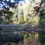 MARILLA RESERVOIR