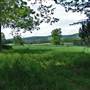 Hemlock Hill