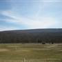 CHERRY VALLEY ROAD & SCENERY