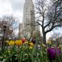 CATHEDRAL OF LEARNING